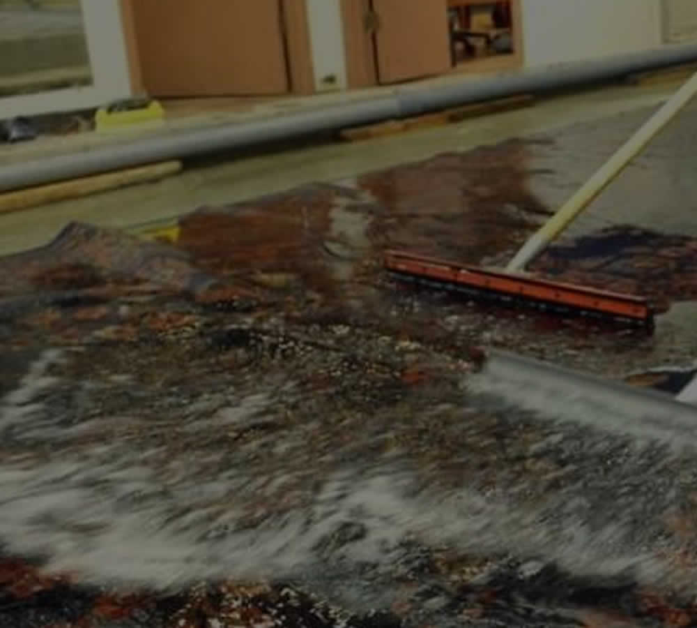 NC Oriental Rug Cleaning