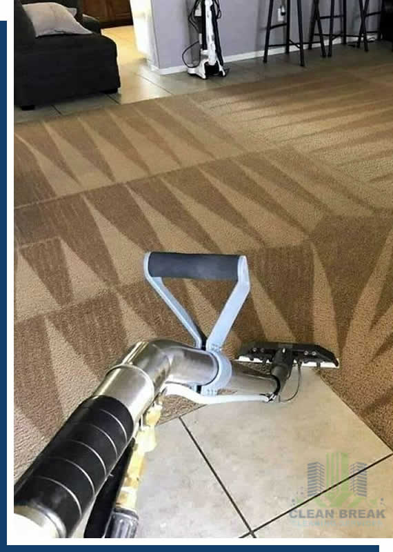 Professional Carpet Cleaning Services